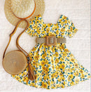 Summer Princess Toddler Girls Dress