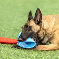 OnlinePetToys™- Dog rubber flying disc