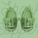 Watermelon Shark Slippers