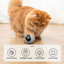 Kitten Electronic Ball